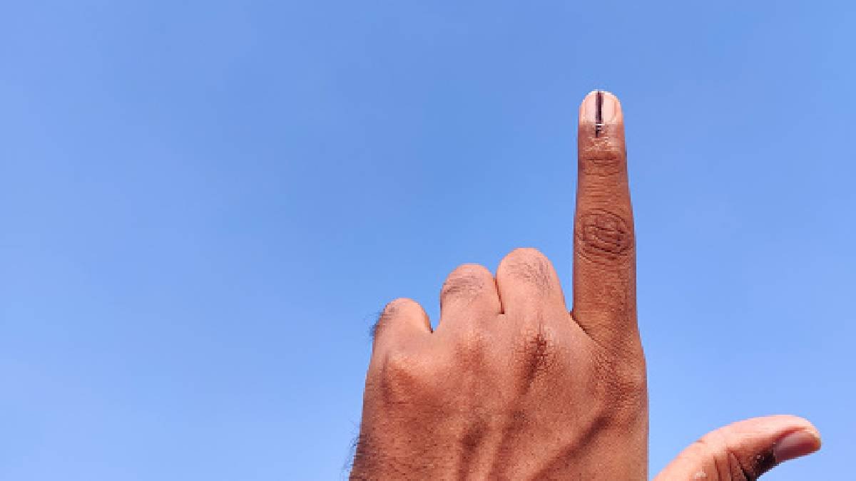 election news