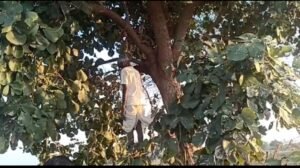 झांसी