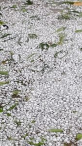 तेज बारिश के साथ ओलावृष्टि