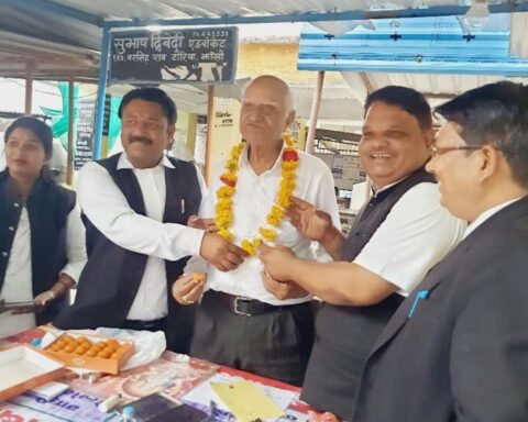 झांसी  जिला अधिवक्ता संघ