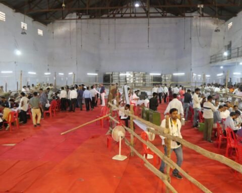 नगर निकाय चुनाव: वार्ड परिणाम