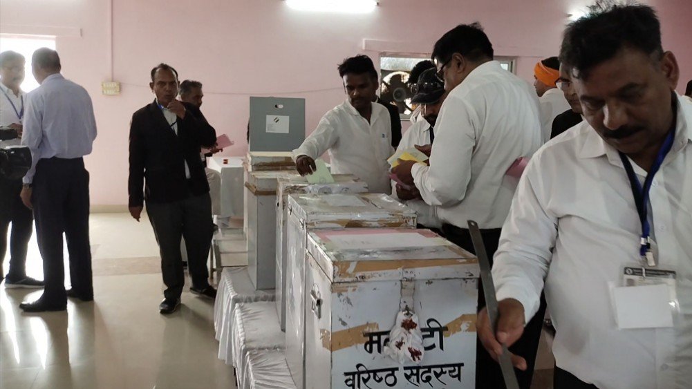 जिला अधिवक्ता संघ चुनाव