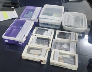 चोर गिरफ्तार 