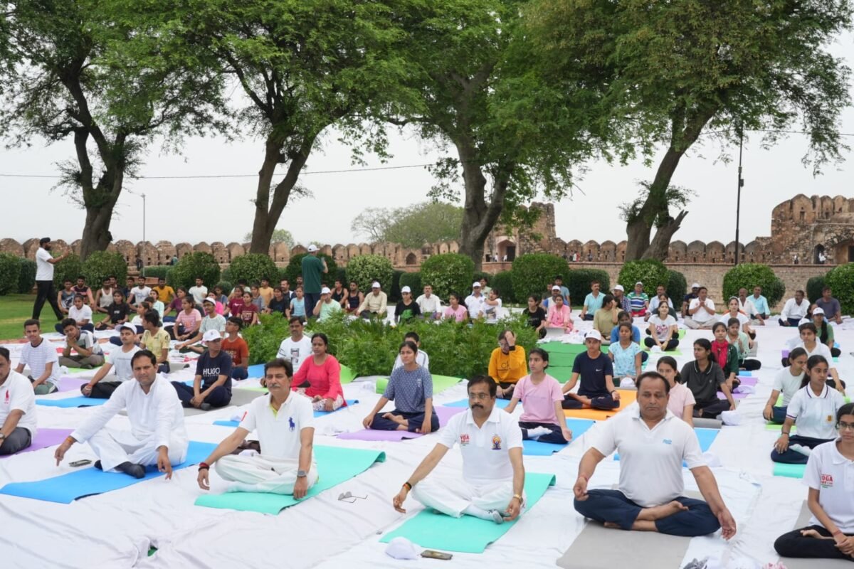 अंतरराष्ट्रीय योग दिवस