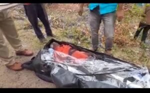गौवंश से भरा ट्रक गिरा खाई में