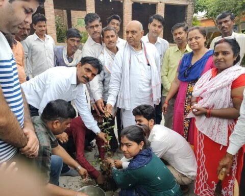 वृहद वृक्षारोपण अभियान