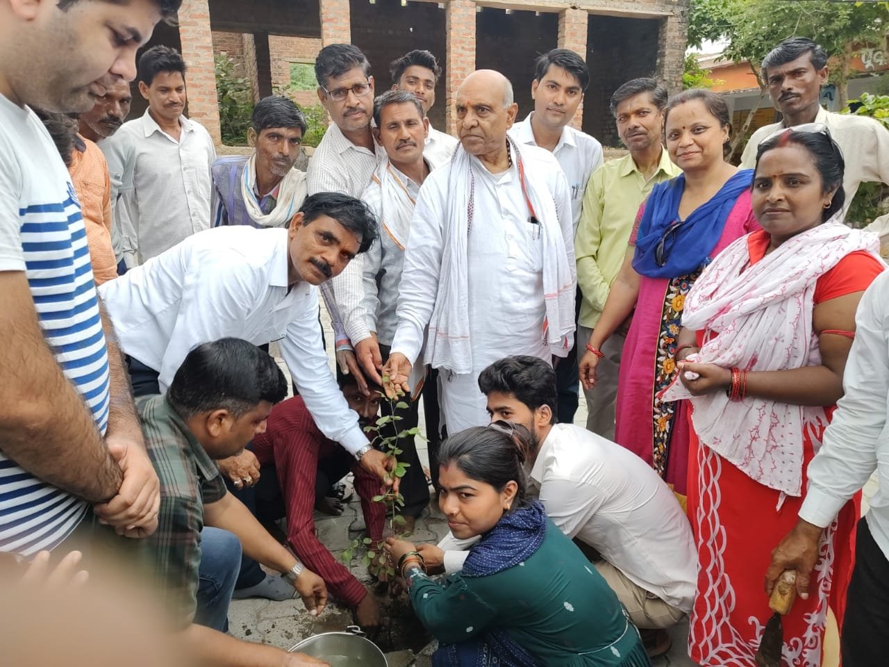 वृहद वृक्षारोपण अभियान