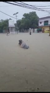 जबरदस्त बारिश