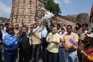 बुन्देलखंड विश्वविद्यालय (बीयू)