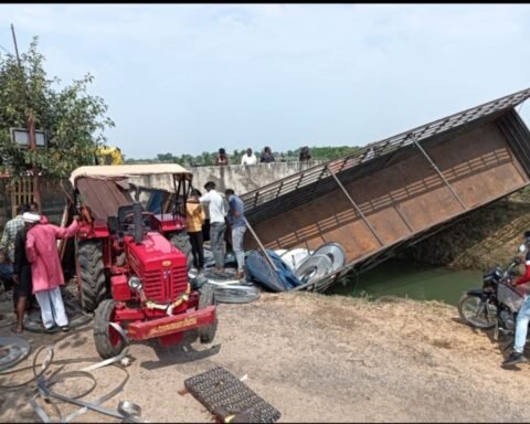 मिनी ट्रक