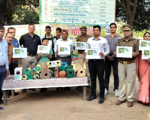 विश्व गौरैया दिवस