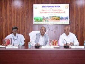 बुंदेलखंड में उद्यानिकी फसल