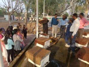 झांसी 23 मई ।  बुंदेलखंड में झांसी स्थित रानी लक्ष्मीबाई केंद्रीय कृषि विश्वविद्यालय का आज जबलपुर के मंगलयान विश्वविद्यालय से आये 75 छात्रों ने शैक्षणिक भ्रमण किया।