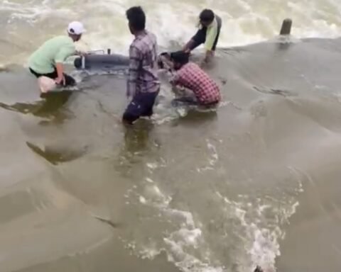 बहने से बचे युवक