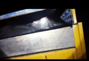 पशुतस्करों को मुठभेड़ में पुलिस ने धर दबोचा