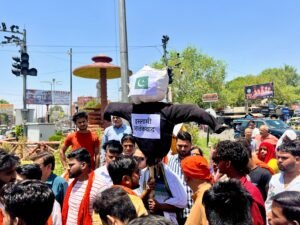 हिंदूवादी संगठनों ने किया पुतला दहन