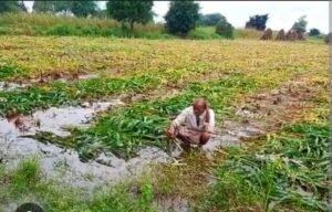 बुंदेलखंड में सर्दी का आगाज