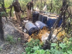 आबकारी विभाग के विशेष अभियान 