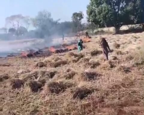 फसल में लगी आग