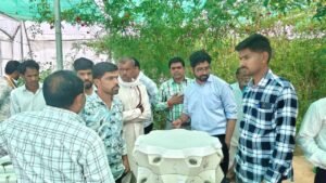 झांसी कृषि विश्वविद्यालय 