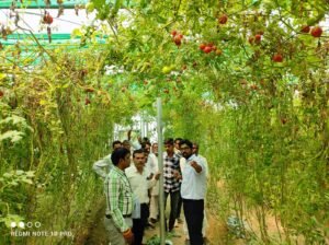 झांसी कृषि विश्वविद्यालय 