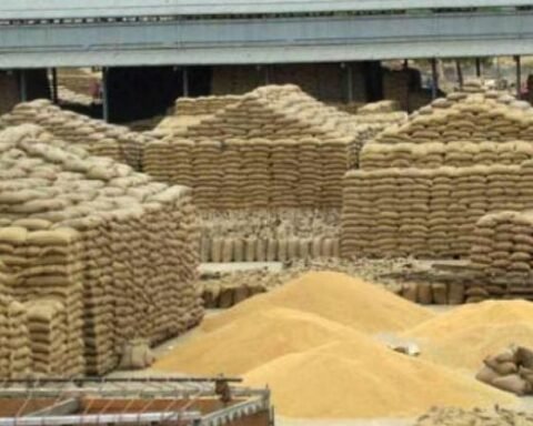 रानी लक्ष्मीबाई केंद्रीय कृषि विश्वविद्यालय