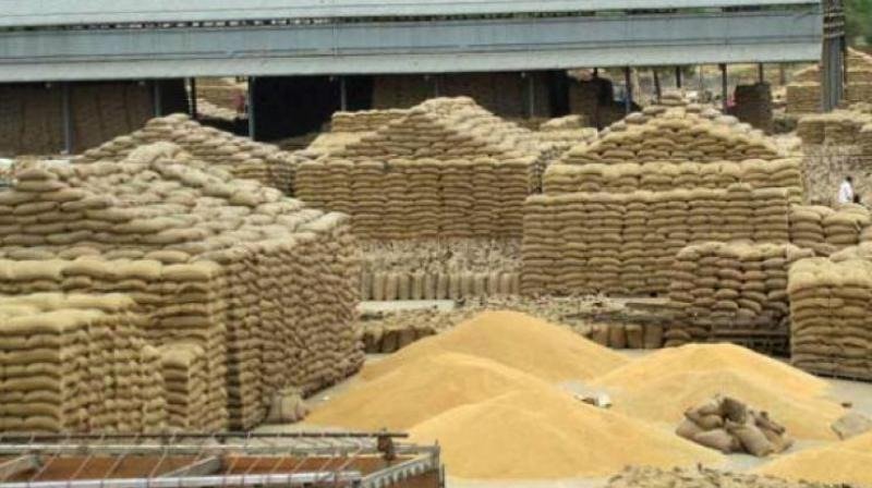 रानी लक्ष्मीबाई केंद्रीय कृषि विश्वविद्यालय