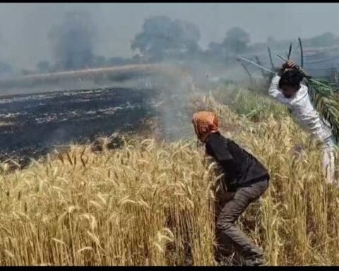 खेतों में लगी भीषण आग