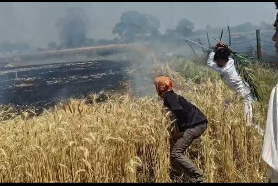 खेतों में लगी भीषण आग