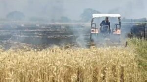खेतों में लगी भीषण आग