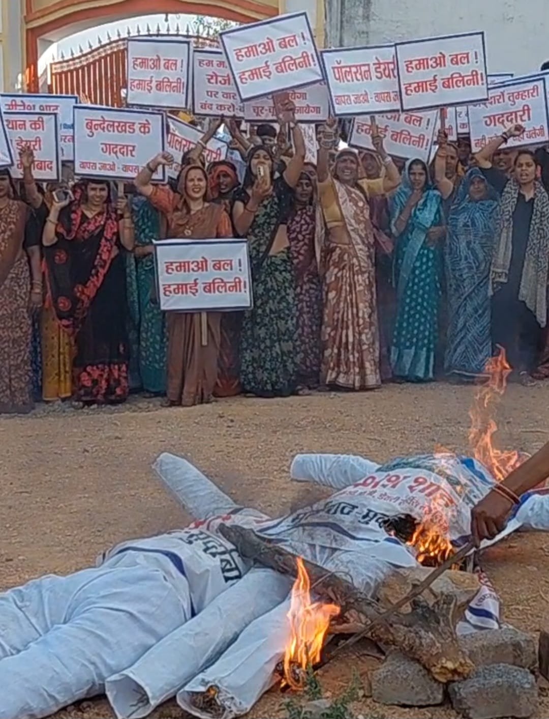 बलिनी मिल्क प्रोड्यूसर कंपनी