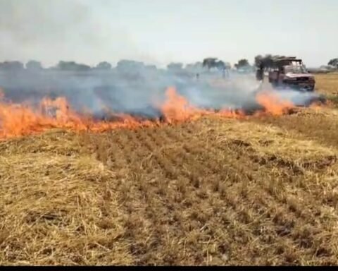 खेतों में लगी आग