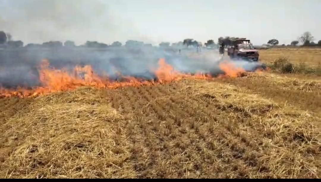 खेतों में लगी आग