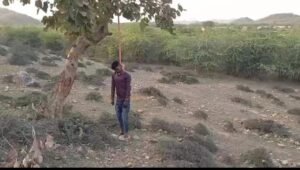 प्रेमी युगल के शव 