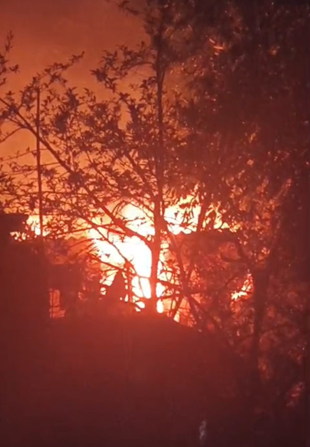 सिलेंडर ब्लास्ट से भीषण आग