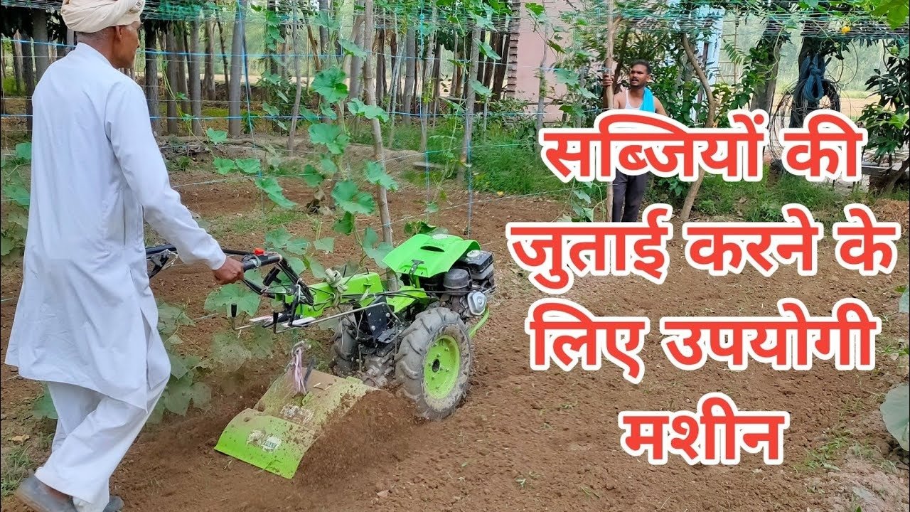 रानी लक्ष्मीबाई केंद्रीय कृषि विश्वविद्यालय