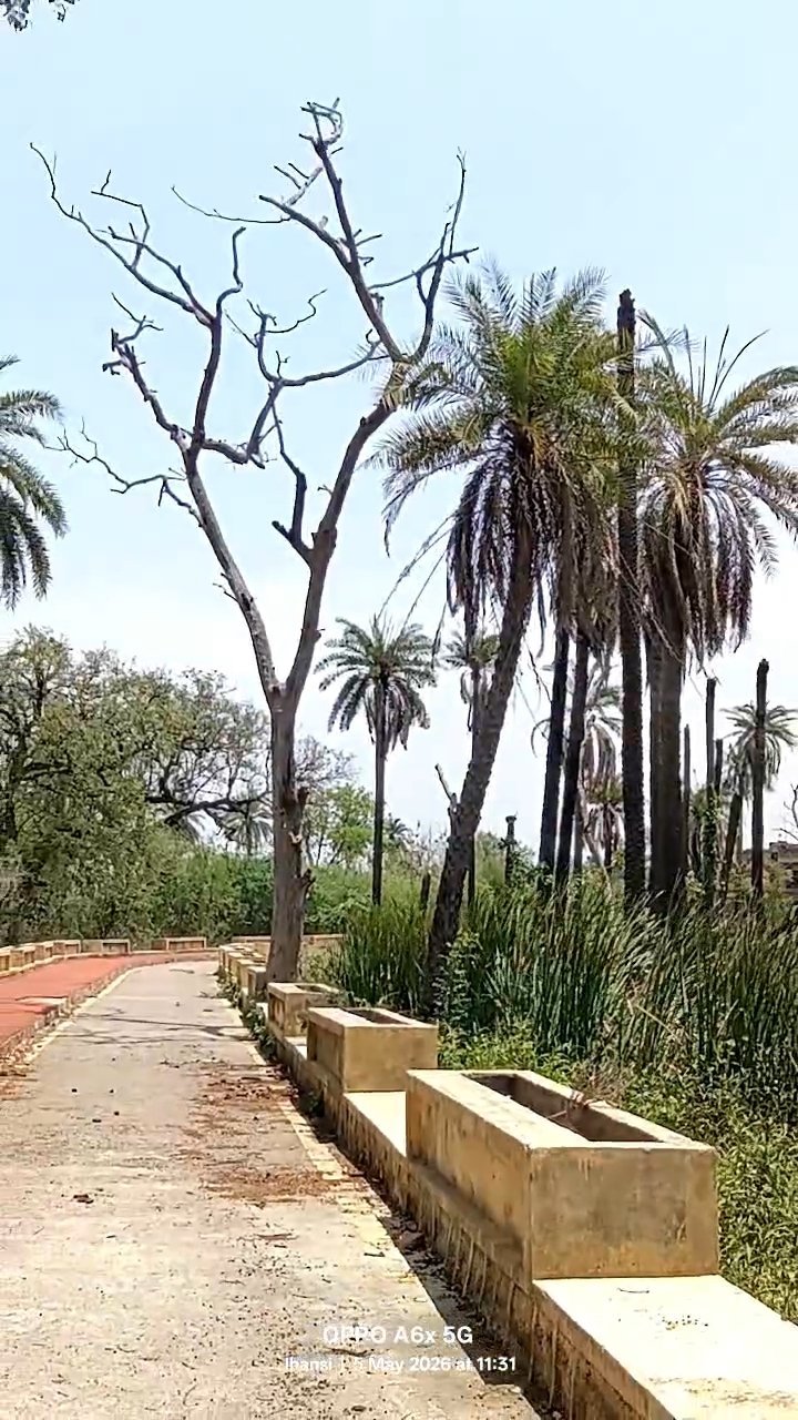 बदहाल हुआ नारायण बाग