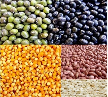 केन्द्रीय कृषि विश्वविद्यालय