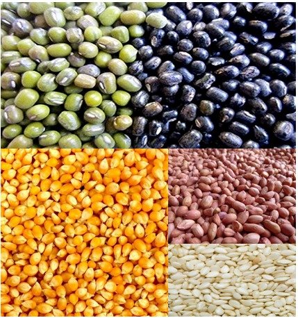 केन्द्रीय कृषि विश्वविद्यालय