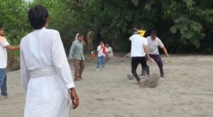 बेतवा नदी में राख के टापू 