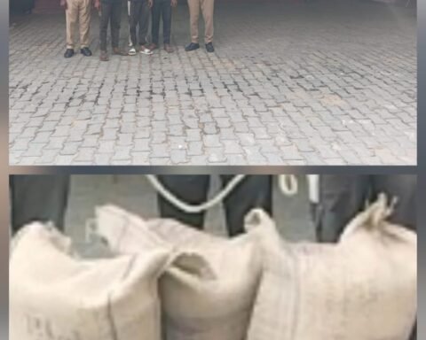गेहूं चुराने वाले तीन शातिर गिरफ्तार