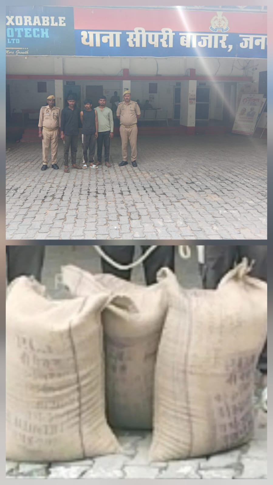 गेहूं चुराने वाले तीन शातिर गिरफ्तार
