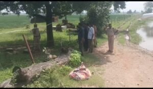 ट्रेन से गिरकर युवक की मौत