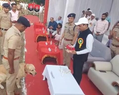 डॉग स्क्वॉड