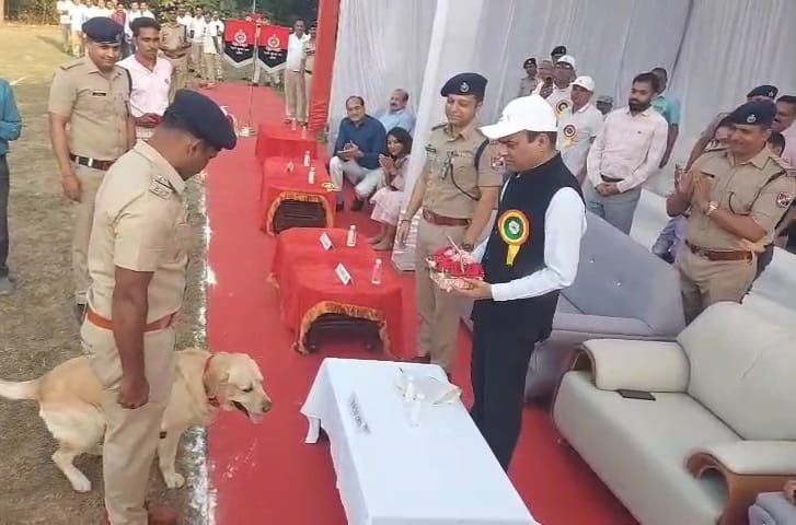 डॉग स्क्वॉड